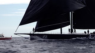 Les Voiles De Saint Tropez 2024  Maxis Day 1 [upl. by Ariamoy]