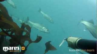 Spearfishing  Kedada Pescasub Valencia 2013 [upl. by Ellenuahs873]