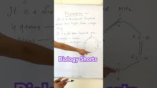 What are Pyrimidines Biology shorts Dr Sams Biology [upl. by Retsbew]