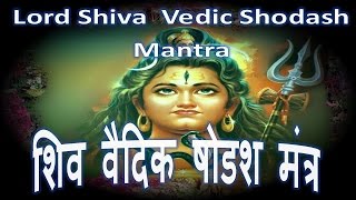 Lord Shiva Vedic Shodash Mantra  ND Shrimali [upl. by Novahs]