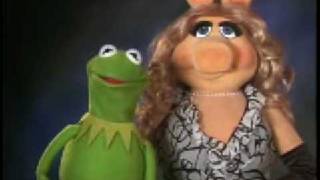 Kermit the Frog amp Miss Piggy Interview with Avi the TV Geek [upl. by Sivrat90]