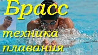 Брасс  Техника плавания Практика КАК НАУЧИТЬСЯ ПРАВИЛЬНО ПЛАВАТЬ How to learn to swim Breaststroke [upl. by Alek]