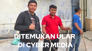 Ditemukan ular di SMK Cyber Media karena musim hujan [upl. by Anohs]