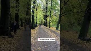 Autumn Walk in Hampstead Heath [upl. by Ragen]