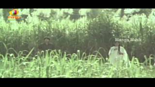 Seetharamaiah Gari Manavaralu Telugu Movie  Poosindi Poosindi Song  Meena  ANR [upl. by Idaline]