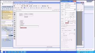 ABAP Screen Checkboxes and Radio Buttons [upl. by Voltz]