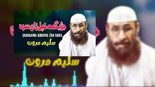 Jareguma Da Zaan SaraSaleem Marwat Pashto New SongPashto New Song 2024سلیم مروت جاڑیگمہ دا زان سر [upl. by Masson]