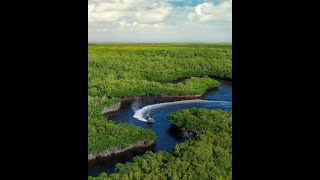 Air boating through Big Cypress Preserve reserve [upl. by Eiznil]