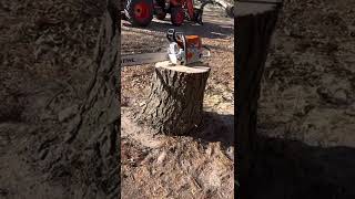 Stihl MS391 Review [upl. by Kenwee625]