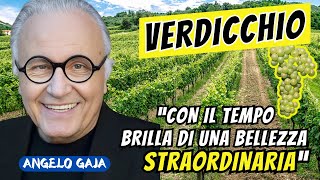 Il VERDICCHIO spiegato Il vino che racchiude la magia delle MARCHE [upl. by Yroc]