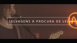 Selvagens à Procura de Lei  Full Show AudioArena Originals [upl. by Aracal]