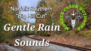 Gentle Rain Sounds  Norfolk Southern [upl. by Eidok]