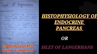 HISTOPHYSIOLOGY OF ENDOCRINE PANCREAS IN HINDI ISLET OF LANGERHANS zoologynotes insulin vbu [upl. by Kajdan159]