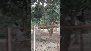 Shamser Ghazi Basher Kella Resort viralvideo fishing shortvideo railway duet bangladesh [upl. by Veno]