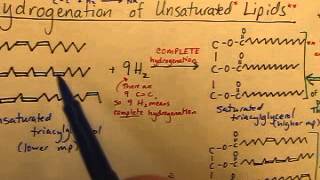 VIDEO Triacylglycerols Reaction 2 Hydrogenation [upl. by Nellaf]