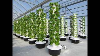 We Were Amazed Surprising Aeroponic Garden Results [upl. by Howlan]