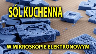 Sól kuchenna w mikroskopie elektronowym [upl. by Esoryram]