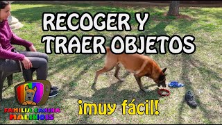 ENSEÑAR a un perro a RECOGERTRAER OBJETOS  Adiestramiento de perros [upl. by Oba]