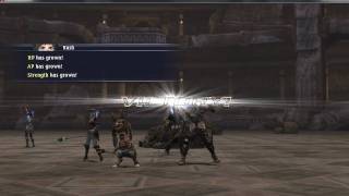 The Last Remnant quotUltimate PC Grindquot [upl. by Nyladnewg7]