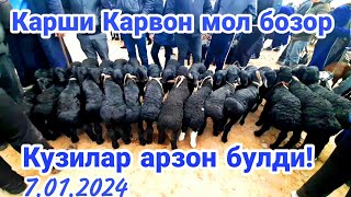 Карши Карвон мол бозори нархлари 7012024 [upl. by Galloway88]