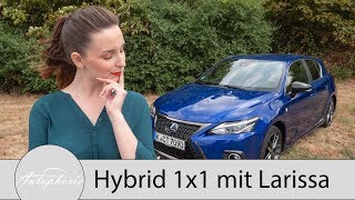 Das Hybrid 1x1 Was sind eigentlich Hybride Larissa erklärt die verschiedenen Systeme  Autophorie [upl. by Hamforrd191]