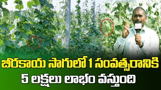 Huge Profits in Ridge Gourd Farming  Vidyasagar Horticulture amp Sericulture Officer  SumanTV Rythu [upl. by Grubb245]