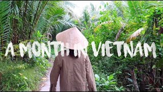 A Month In Vietnam  Orla Conlan [upl. by Norby693]