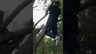 Vbar handle in the tree ørjanmyklebust training outdoors [upl. by Oakman]