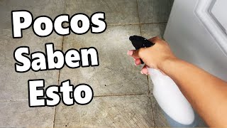 1 TRUCO para Limpiar el PISO y dejarlo como NUEVO [upl. by Nerreg]