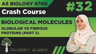 Globular VS Fibrous Proteins  Part 2   Biological Molecules  9700 AS Biology UrduHindi [upl. by Sirromad]