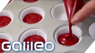 Schokolade und Cupcakes aus Blut  Ist das genießbar  Galileo  ProSieben [upl. by Dodie872]