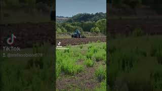 Newholland TM165 viviani frangizolle stefanobiondi78 toscana youtube preparazionet [upl. by Nitsruk]