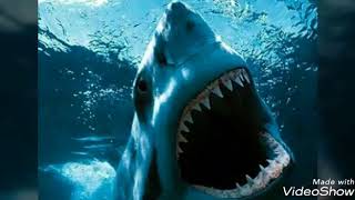 Jaws theme song extended 8 min by Steven Spielberg [upl. by Lelith]