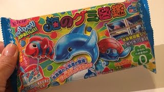 DIY Japans snoep maken Popin Cookin Sea Animals [upl. by Rafaela]