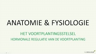 Hormonale regulatie van de voortplanting [upl. by Pierre225]