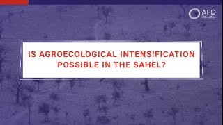 Is agroecological intensification possible in the Sahel With Philippe Roudier [upl. by Alilahk]