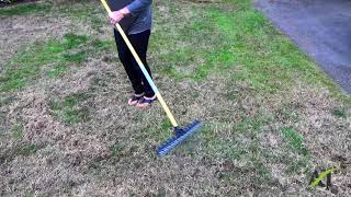 Teri Hand Thatching Her Lawn [upl. by Ahtekal]