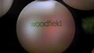 Woodfield Mall  quotWe Have It Allquot Commercial 1984 [upl. by Asiak]