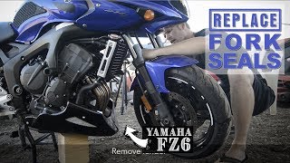 How to Replace Fork Seals  Yamaha FZ6 quotFazerquot [upl. by Maillw]