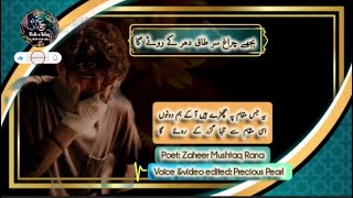 بجھے چراغ سرِ طاق دھر کے روۓ گا Roye ga  Sadurdupooetry  bujhy charagh sar e taaqroey ga [upl. by Anders828]