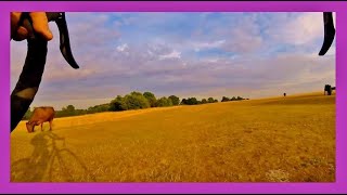 Cycle Descent Minchinhampton Common  The W  Nailsworth [upl. by Gold250]