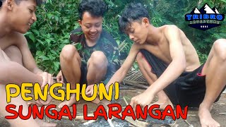 Berburu penghuni sungai larangan Petualangan di sungai TRIBRO ADVENTURE  Episode 20 adventure [upl. by Bremen633]