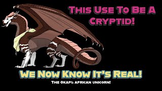 The Okapi It Was A Cryptid But Now Is An African Unicorn Reality [upl. by Fayth]