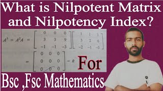 What is Nilpotent Matrix and Nilpotency index wamalomatetv451 Hindi lecture [upl. by Natividad940]