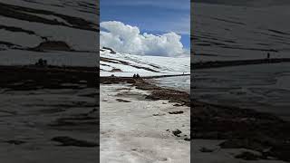 Sheosar Lake Deosai Plains [upl. by Ocram]