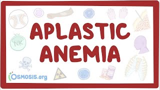 Aplastic anemia  an Osmosis Preview [upl. by Jurgen]