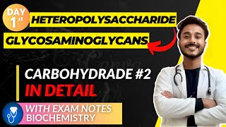 heteropolysaccharide biochemistry  glycosaminoglycans biochemistry mucopolysaccharide biochemistry [upl. by Nedrob]