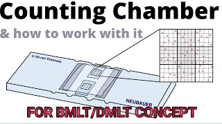 NEUBAR COUNTING CHAMBER BMLTDMLT  PATHOLOGY COURSE 202324 [upl. by Orlanta]