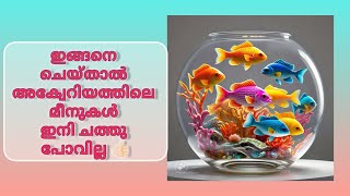 Aquarium water changing tips🐟🐟 [upl. by Notnyw343]