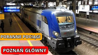 Poznań Główny Pociągi cz 1 Niestrudzone lokomotywy PKP Intercity [upl. by Solakcin]